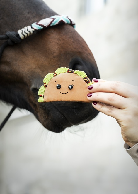 BISCOTTO GLASSATO TACO "FOODIE" CANDY HORSE  