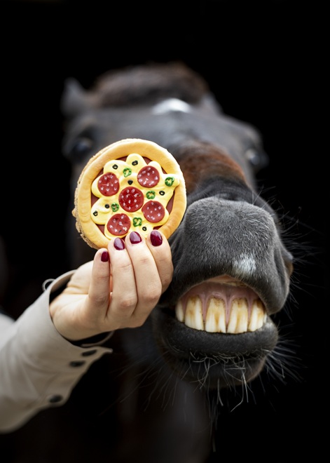 BISCOTTO GLASSATO PIZZA "FOODIE" CANDY HORSE  