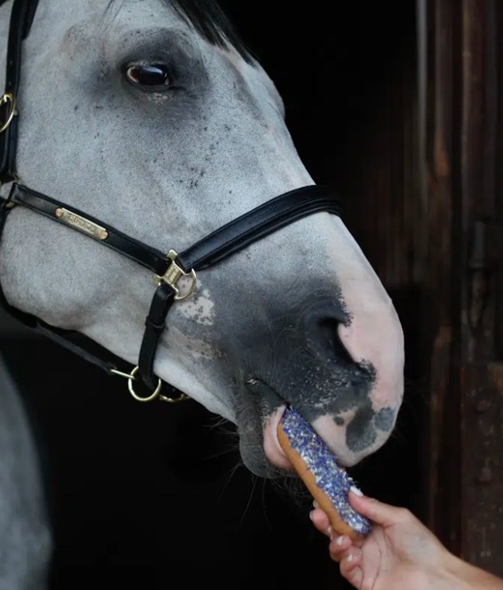 BISCOTTO GLASSATO ECLAIR FIORDALISO BLU CANDY HORSE  