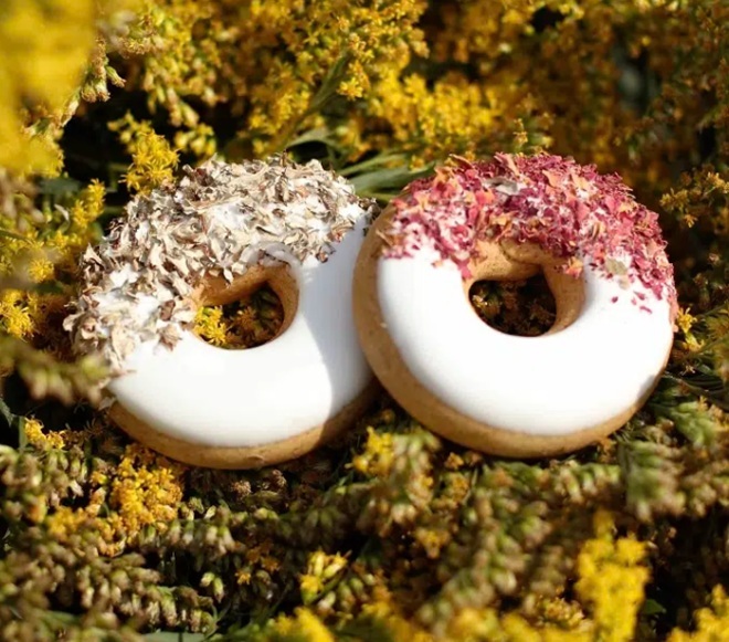BISCOTTI GLASSATI DONUTS ROSA + MUSCHIO ISLANDESE CANDY HORSE  
