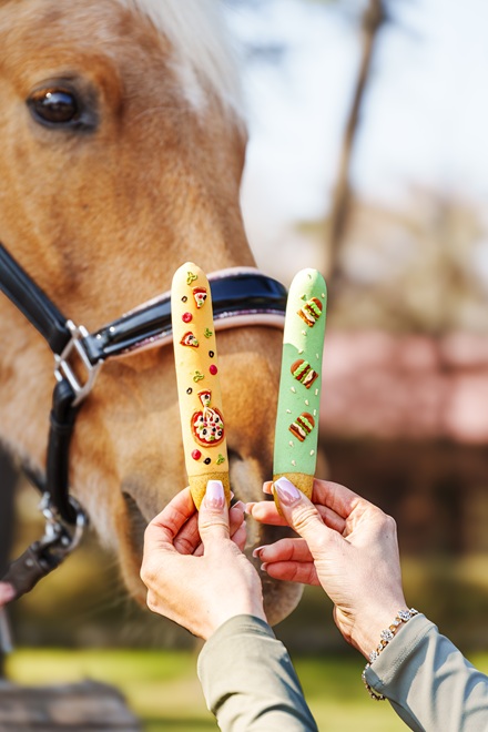 BISCOTTI GLASSATI STICK "FOODIE" BOX 5 PZ. CANDY HORSE  