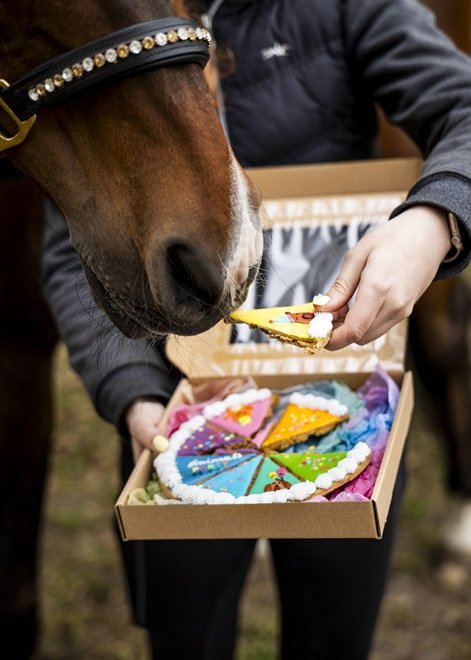 BISCOTTO GLASSATO TORTA DI COMPLEANNO "STABLE PARTY"  CANDY HORSE  