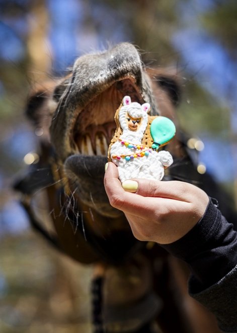 BISCOTTO GLASSATO LAMA "STABLE PARTY" CANDY HORSE  