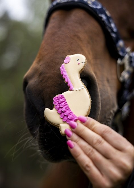 BISCOTTO GLASSATO DINOSAURO "STABLE PARTY" CANDY HORSE  