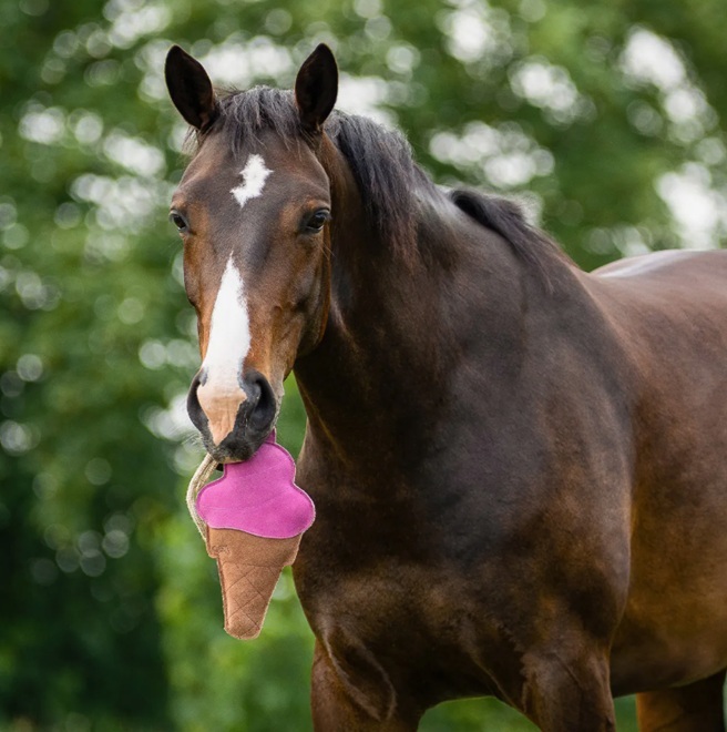 GIOCO PER CAVALLI "SNACK" GELATO  