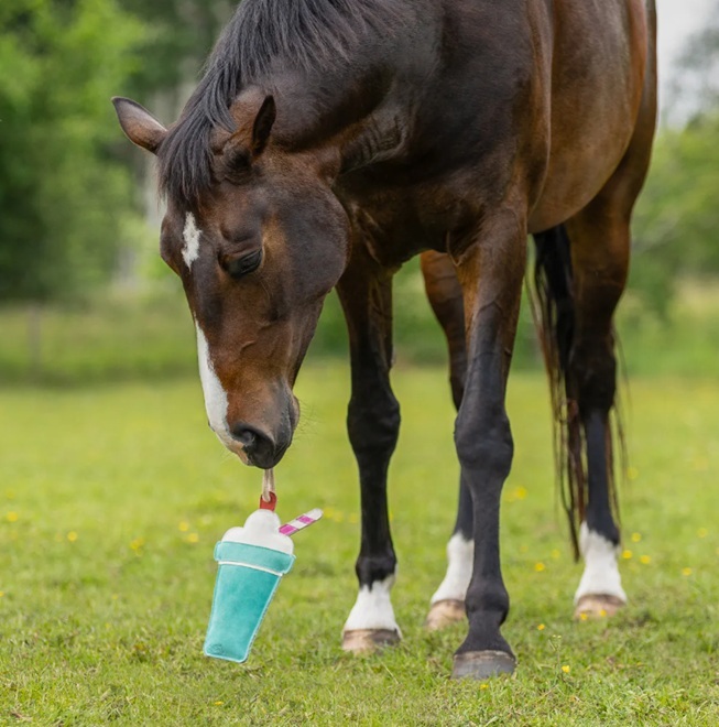 GIOCO PER CAVALLI "SNACK" MILKSHAKE  