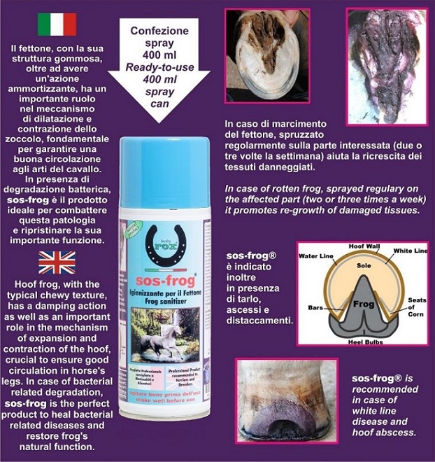 Umbria Equitazione Liqueur De Villate 500ml | Soin Sabots Chevaux | Anti Pourriture Fourchette